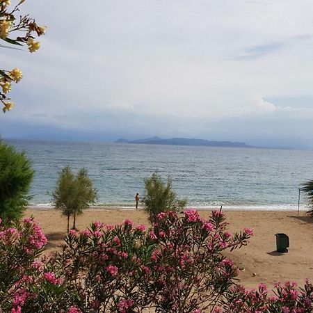 Perfect Beachfront Apartment Atina Dış mekan fotoğraf