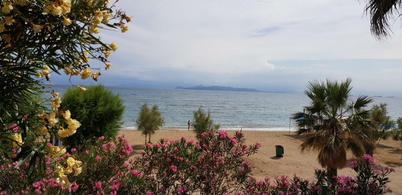 Perfect Beachfront Apartment Atina Dış mekan fotoğraf